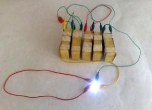 以色列公司开发出新型土豆电池