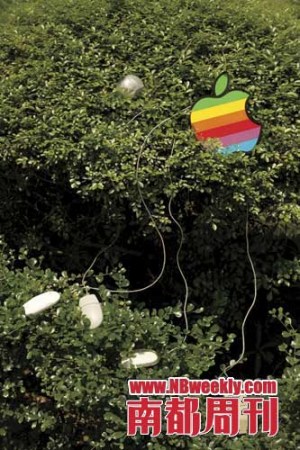 一个苹果迷收集的旧版苹果标志鼠标垫及历代苹果有线鼠标。对于苹果粉丝而言，苹果产品&ldquo;不完美的完美&rdquo;也是独有的&ldquo;苹果味道&rdquo;。摄影-孙海