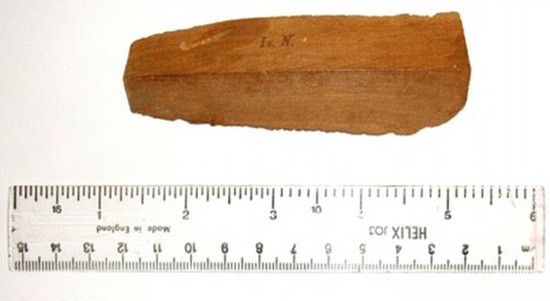 将被送上太空的&ldquo;牛顿苹果树&rdquo;木片。