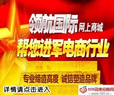 领航国际商盟B2C电子商务呼叫中心的建设