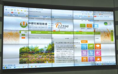 中原农村信息港